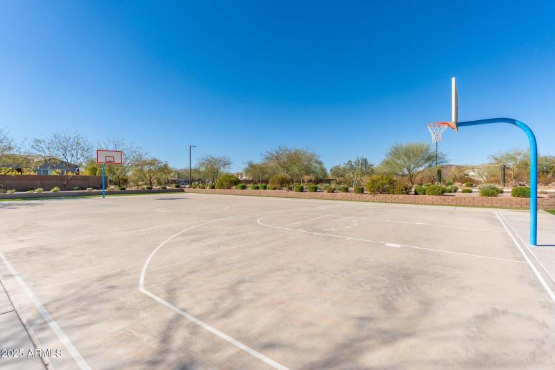 Basketball Courts