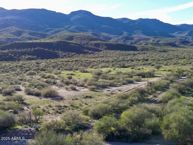 9E68E3BC-C830-48BB-A35E-3694E6F7D8E2_1_1