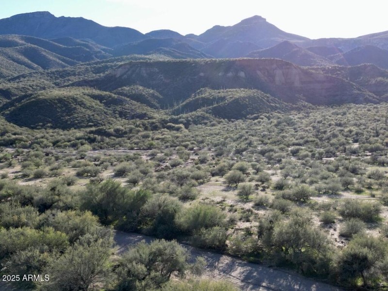 90AABAD5-F057-425C-B154-DD8FB1D3307C_1_1