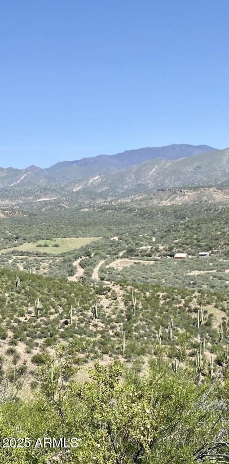 0A80A29A-72AE-440D-B4C9-5661D333F2F2_1_1