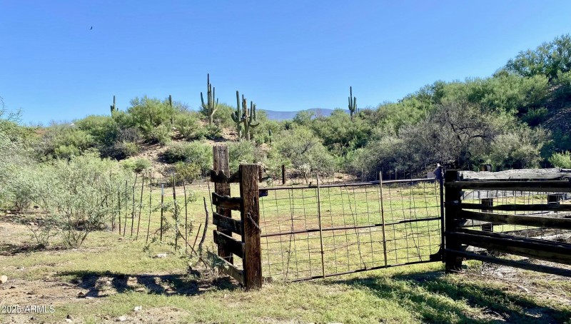 499BF154-8CC7-474B-A42F-E105B6CCBAEF_1_2