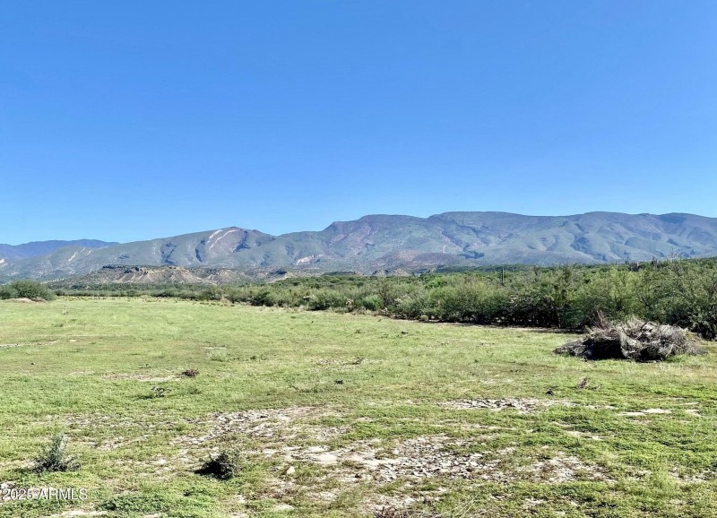 F8BD1324-E1B0-4E54-AA05-06046DA46F0E_1_2