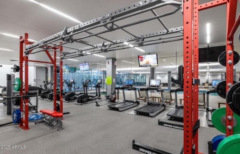 optima camelview gym 2