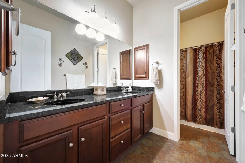 17394 W Lincoln St_bath2a