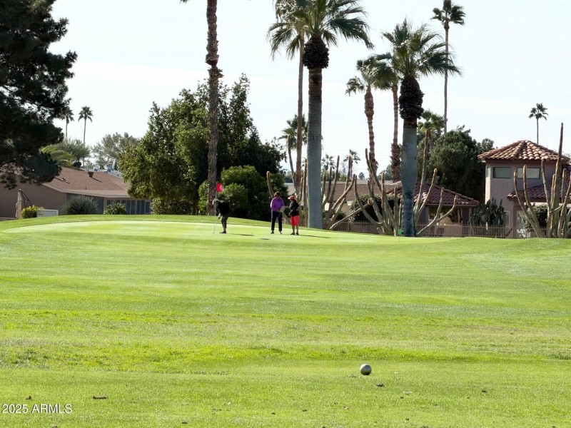 Golfers Putting on 12th Green