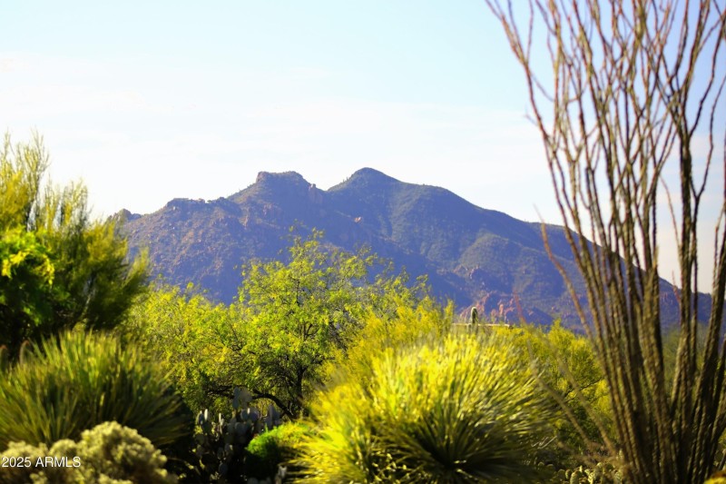View of Black Mountain