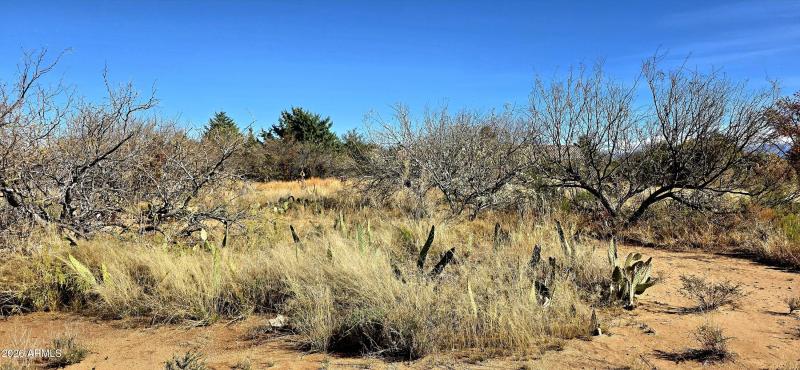 Lot 229 South Sauk Avenue