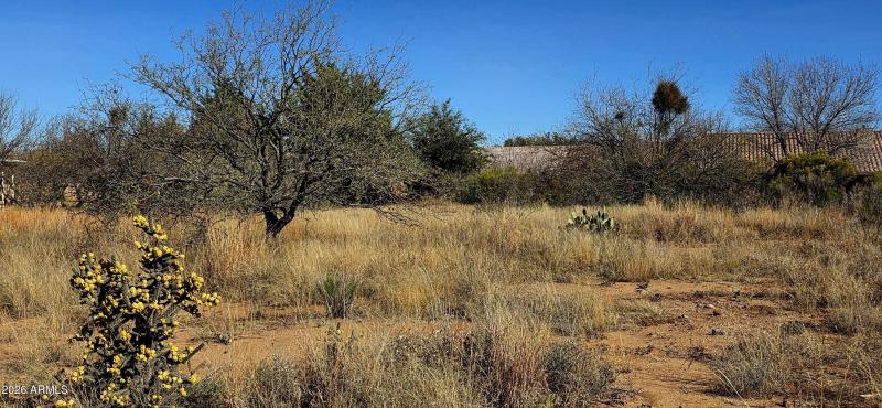 Lot 229 South Sauk Avenue