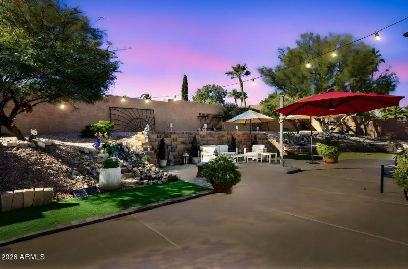 Palomino night photo