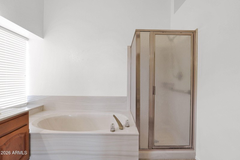 Separate Tub and Shower