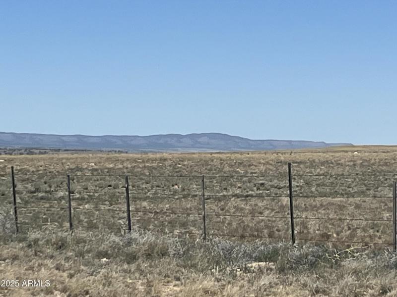 20250614_194603730_iOS