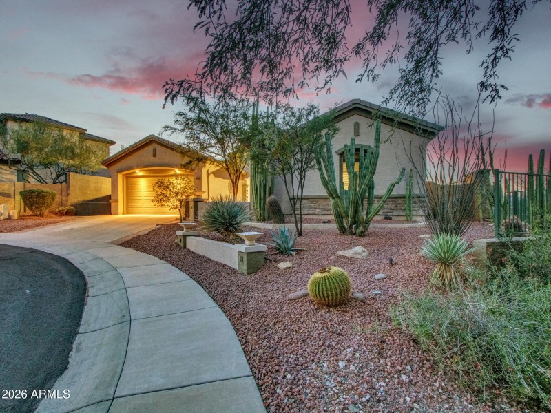 Evening_01-Front-(3)