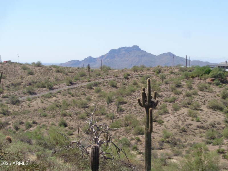 View of Red Mountain