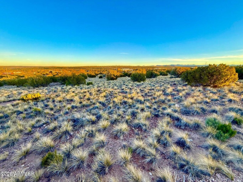 20251204054902800801000000-o