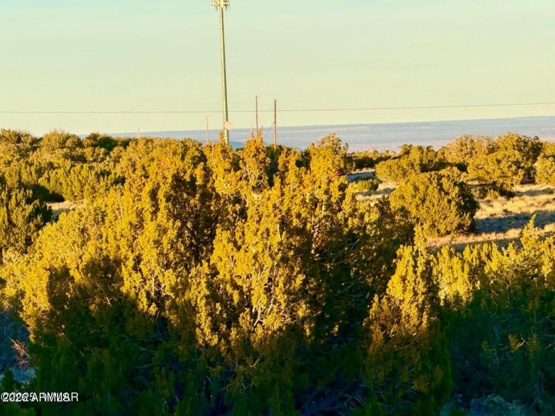 20251204060116893897000000-o