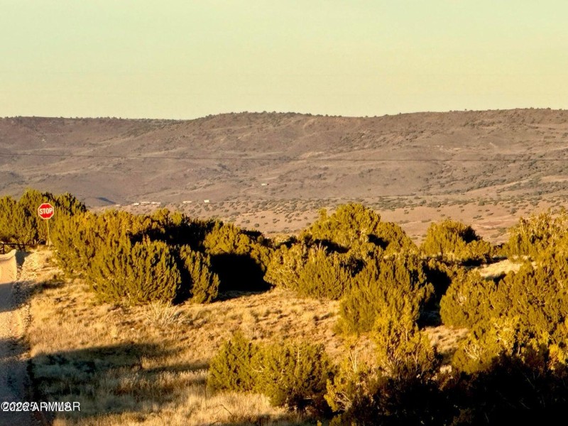 20251204054956016684000000-o