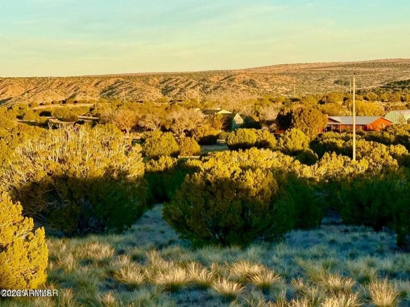 20251204055445941382000000-o