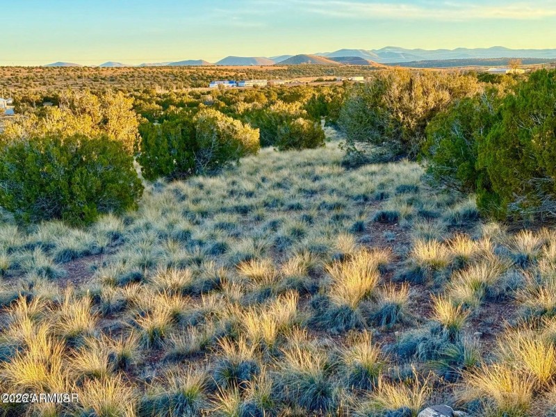 20251204055624359199000000-o