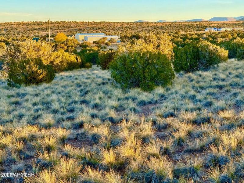 20251204055835302219000000-o