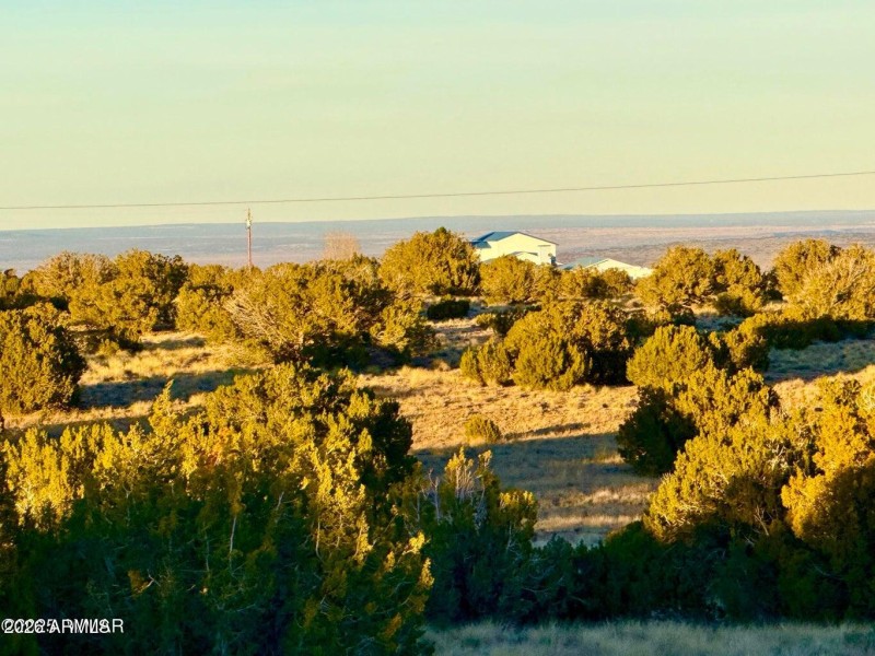 20251204060209343544000000-o