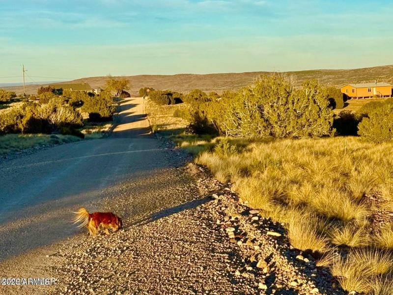 20251204060622378659000000-o