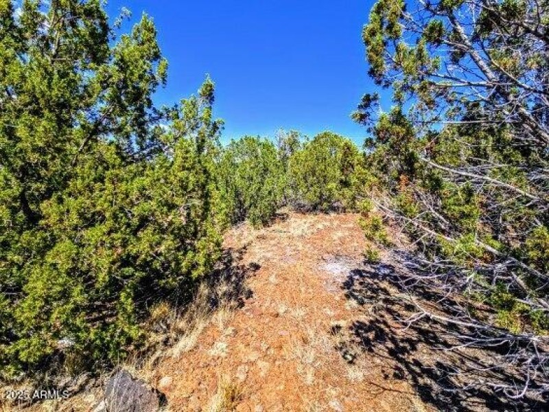 8546 Silver Creek Dr Pic 4