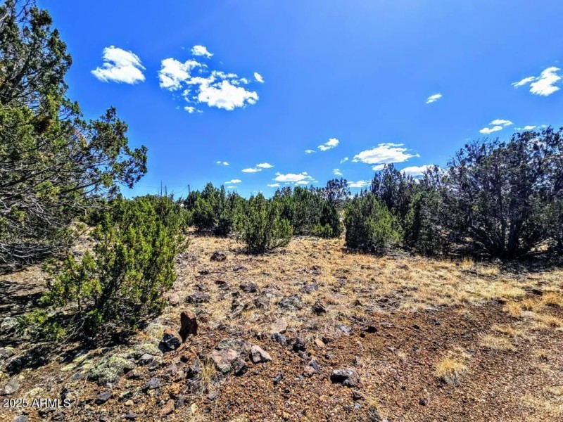 8426 Silver Creek Dr Pic 1