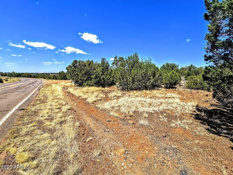 8426 Silver Creek Dr Pic 2