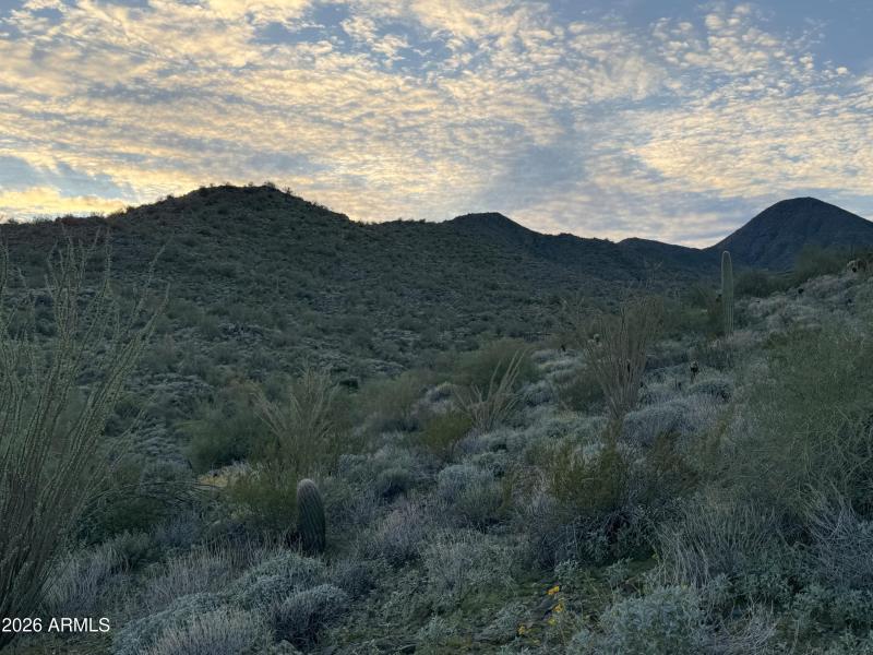 lot 216 McDowell views