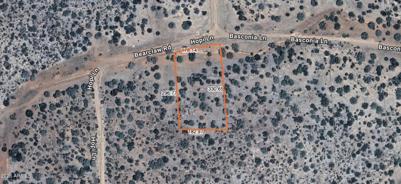 Basconia diamensions