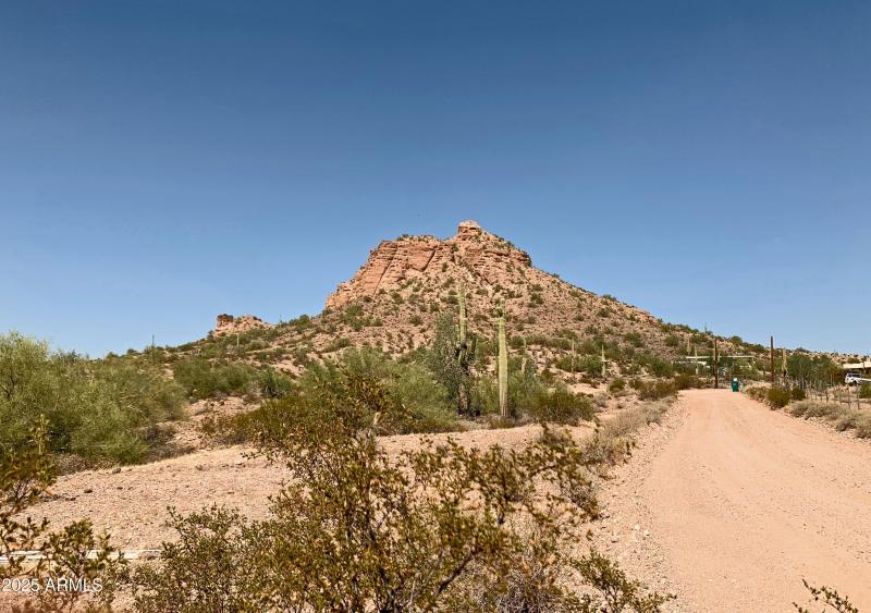 Come Home to the Country!