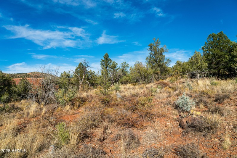 105 Cross Creek Circle 13