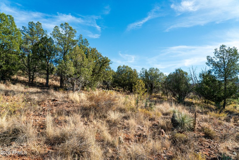 105 Cross Creek Circle 19