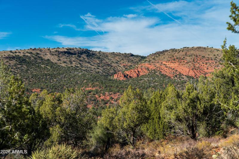 105 Cross Creek Circle 26