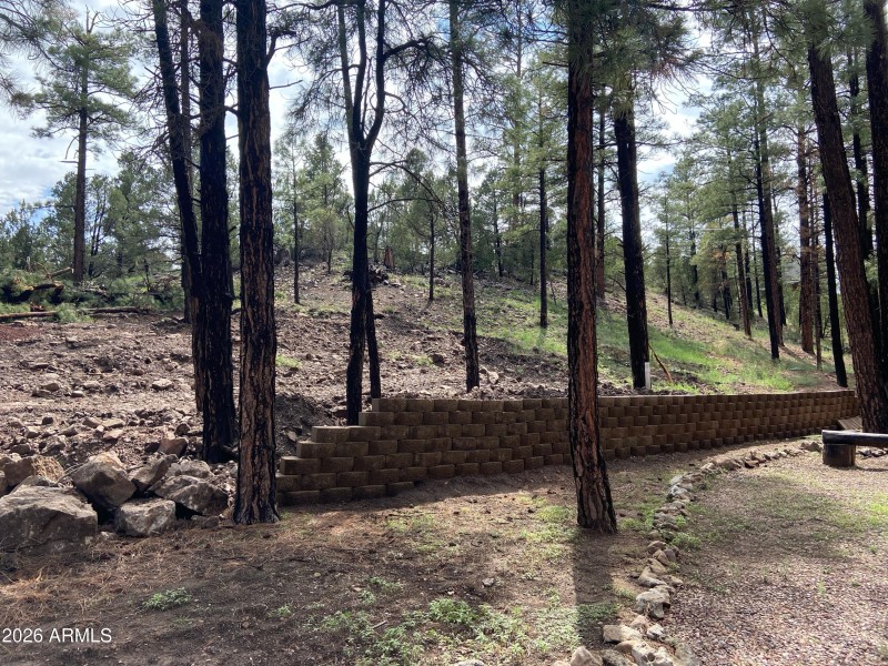 B5F2BCCB-45F5-4711-9449-556A6286270F