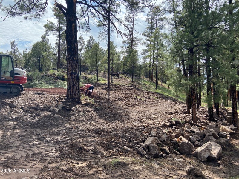 3F6A2455-EAA7-4E75-ADB3-ADF62090D3D3