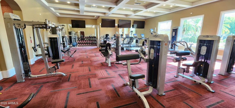 33) 66529-695bed6ae2bc3