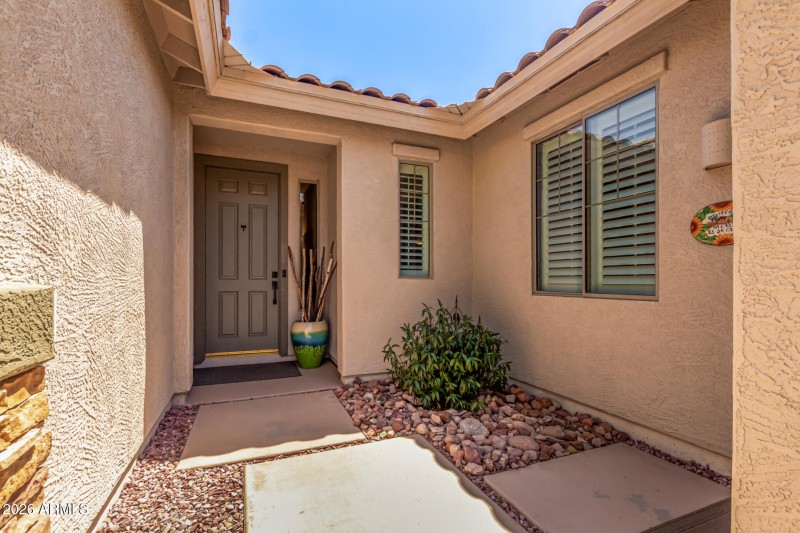 07 - Desert Honeysuckle