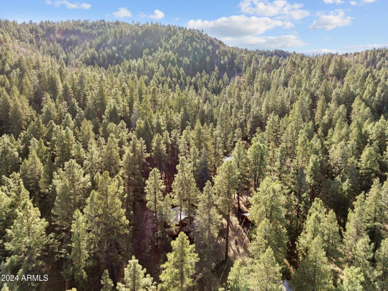 5-web-or-mls-DJI_20241207164120_0019_D