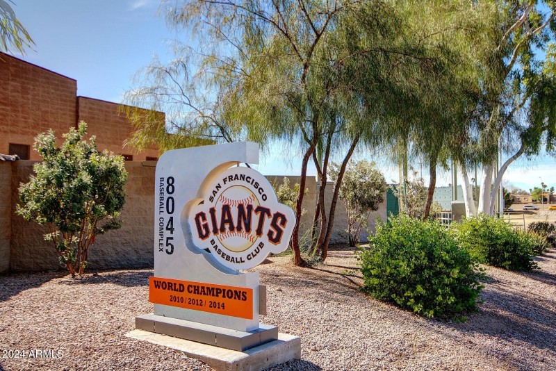 Sports & Spring Training