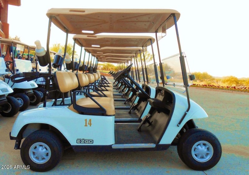 Golf Carts