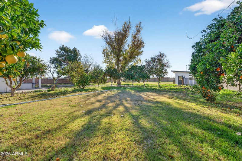 64-web-or-mls-55-E Claxton St