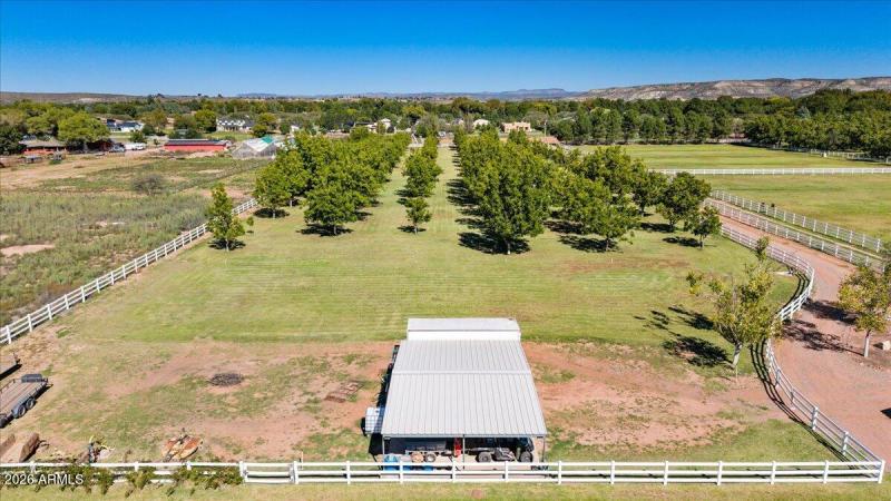 55-Aerial View Orchid