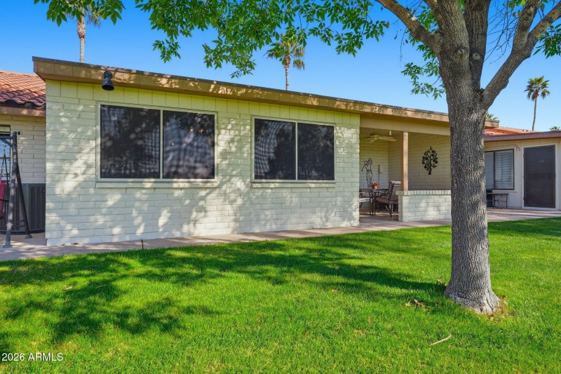 South-facing Back Area