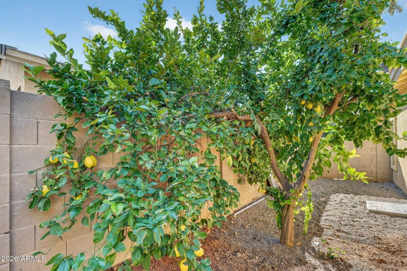 45-web-or-mls-46-E Washington Ct