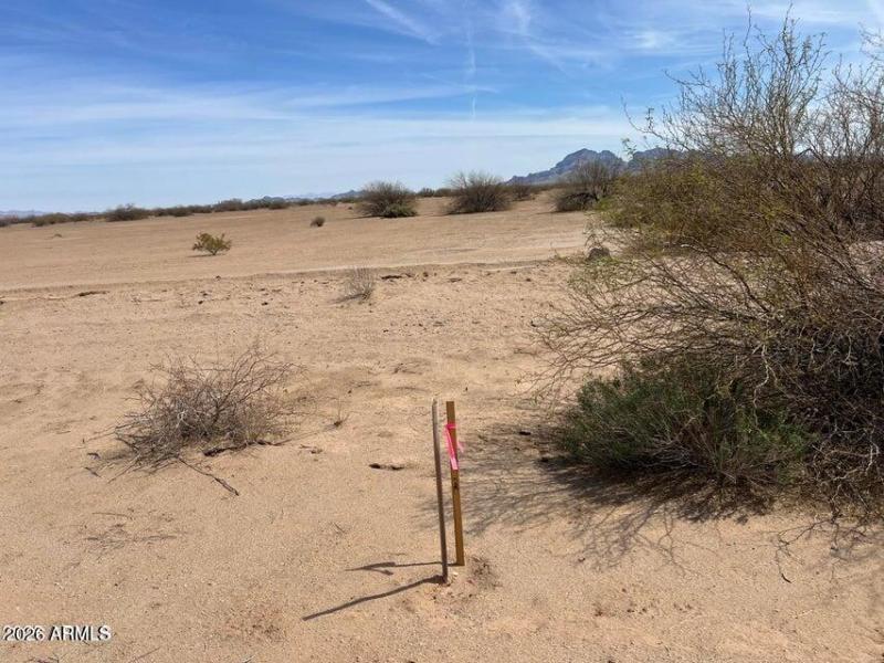 20250317180258889637000000-o