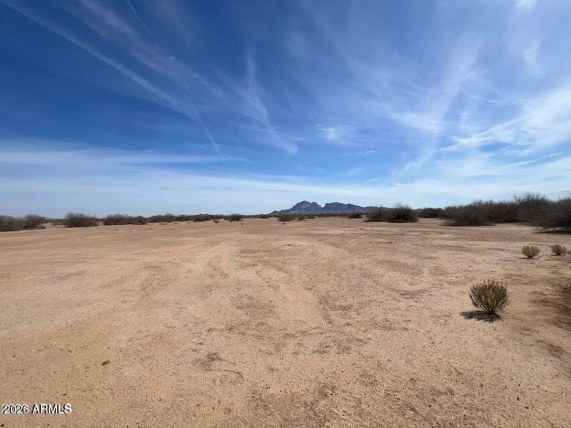 20250317180238008486000000-o