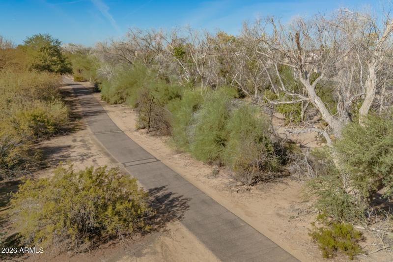 22 - Purple Sage Drone