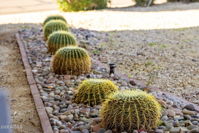 84-web-or-mls-_TM_0420