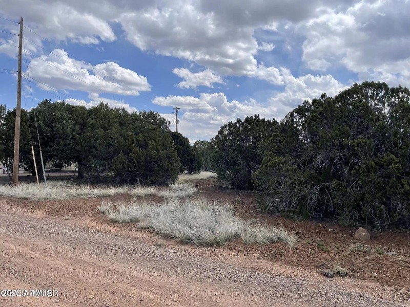 293a44decd49247ca0a966b968819555-cc_ft_1